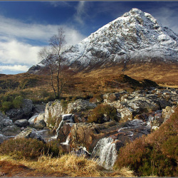2006