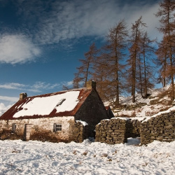 2010